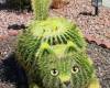 <b>Название: </b>kaktus cat, <b>Добавил:<b> aleks_gubkin<br>Размеры: 468x625, 118.9 Кб