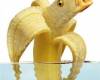 <b>Название: </b>fish banan, <b>Добавил:<b> aleks_gubkin<br>Размеры: 455x625, 36.2 Кб